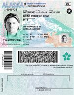 Alaska Driver License vector quality.jpg