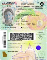 Georgia Driver License vector quality.jpg