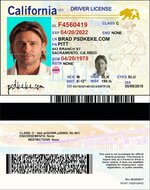 California Driver License vector quality.jpg