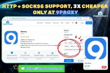 Canva_9proxy_Product_LINH_EN_1.jpg